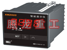 溫度表、數(shù)字顯示儀、濕度表