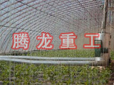 大棚花卉供暖設備、大棚卉采暖設備、大棚花卉取暖設備